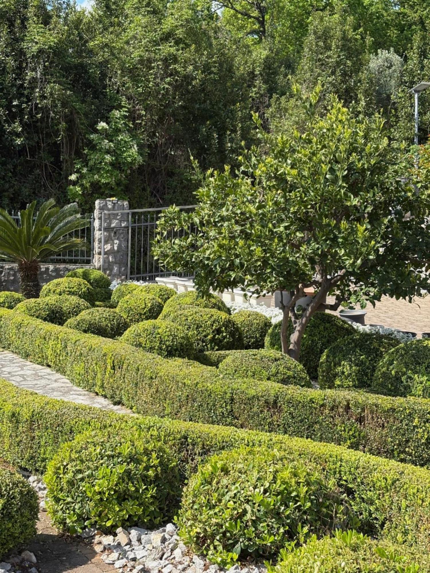 Bed And Breakfast Villa Iris Moscenicka Draga Exterior foto