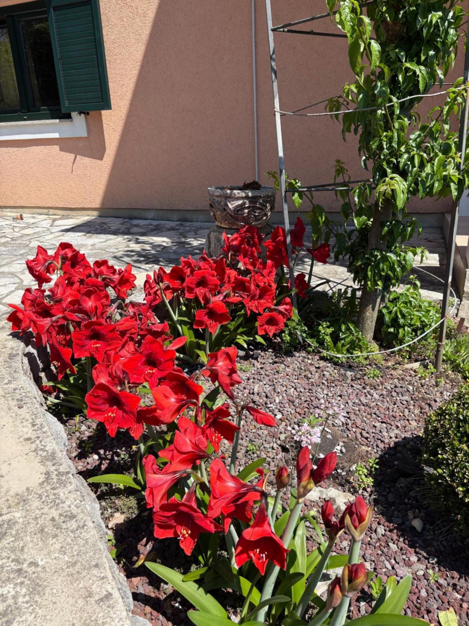 Bed And Breakfast Villa Iris Moscenicka Draga Exterior foto